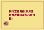 铜川宜君黄精(铜川宜君发现黄精潜在药用价值)