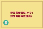 野生黄精毒性(小心！野生黄精毒性极高)