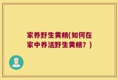 家养野生黄精(如何在家中养活野生黄精？)