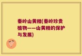 秦岭山黄精(秦岭珍贵植物——山黄精的保护与发展)