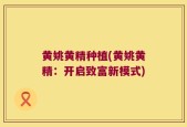 黄姚黄精种植(黄姚黄精：开启致富新模式)