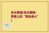 东川黄精(东川黄精：草原上的“黄金美人”)