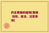 药名黄精的植物(黄精 功效、用法、注意事项)
