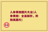 人参黄精图片大全(人参黄精：全面解析，附精美图片)