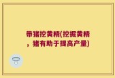 带猪挖黄精(挖掘黄精，猪有助于提高产量)