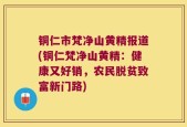 铜仁市梵净山黄精报道(铜仁梵净山黄精：健康又好销，农民脱贫致富新门路)