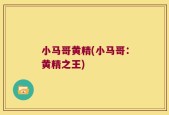 小马哥黄精(小马哥：黄精之王)