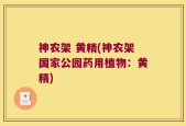 神农架 黄精(神农架国家公园药用植物：黄精)
