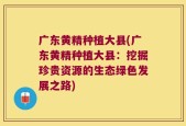 广东黄精种植大县(广东黄精种植大县：挖掘珍贵资源的生态绿色发展之路)