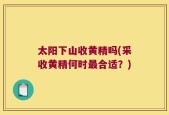 太阳下山收黄精吗(采收黄精何时最合适？)