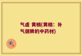 气虚 黄精(黄精：补气健脾的中药材)