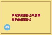 天然黄精图片(天然黄精的美丽图片)