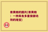 姜黄精的图片(姜黄精：一种具有多重保健功效的瑰宝)