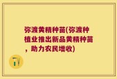 弥渡黄精种苗(弥渡种植业推出新品黄精种苗，助力农民增收)