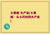 小黄精 大产业(小黄精：从小药材到大产业)