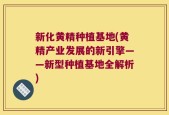 新化黄精种植基地(黄精产业发展的新引擎——新型种植基地全解析)