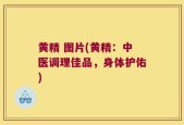 黄精 图片(黄精：中医调理佳品，身体护佑)