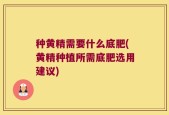 种黄精需要什么底肥(黄精种植所需底肥选用建议)