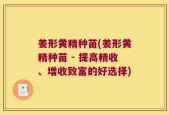 姜形黄精种苗(姜形黄精种苗 - 提高精收、增收致富的好选择)