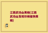 江西武功山黄精(江西武功山发现珍稀植物黄精)