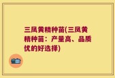 三凤黄精种苗(三凤黄精种苗：产量高、品质优的好选择)