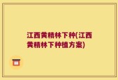 江西黄精林下种(江西黄精林下种植方案)