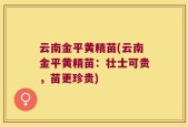 云南金平黄精苗(云南金平黄精苗：壮士可贵，苗更珍贵)