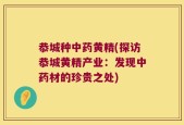 恭城种中药黄精(探访恭城黄精产业：发现中药材的珍贵之处)