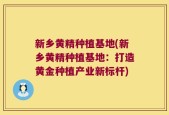 新乡黄精种植基地(新乡黄精种植基地：打造黄金种植产业新标杆)