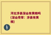 河北涉县深山有黄精吗(深山奇草：涉县有黄精)