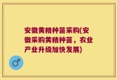 安徽黄精种苗采购(安徽采购黄精种苗，农业产业升级加快发展)