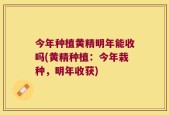 今年种植黄精明年能收吗(黄精种植：今年栽种，明年收获)