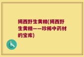 揭西野生黄精(揭西野生黄精——珍稀中药材的宝库)