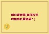 博白黄精英(如何科学种植博白黄精英？)