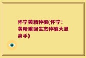 怀宁黄精种植(怀宁：黄精重回生态种植大显身手)