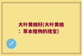 大叶黄精籽(大叶黄精：草本植物的瑰宝)