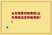 山东哪里种植黄精(山东哪里适宜种植黄精？)