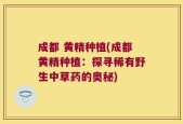 成都 黄精种植(成都黄精种植：探寻稀有野生中草药的奥秘)