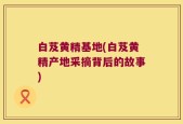 白芨黄精基地(白芨黄精产地采摘背后的故事)