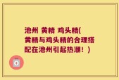 池州 黄精 鸡头精(黄精与鸡头精的合理搭配在池州引起热潮！)