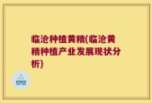 临沧种植黄精(临沧黄精种植产业发展现状分析)