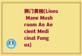 狮门黄精(Lions Mane Mushroom An Ancient Medicinal Fungus)