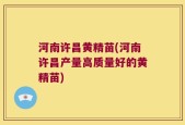 河南许昌黄精苗(河南许昌产量高质量好的黄精苗)