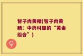 智子肉黄精(智子肉黄精：中药材里的“黄金组合”)