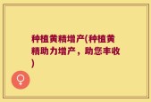 种植黄精增产(种植黄精助力增产，助您丰收)