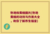 熟地和黄精图片(熟地黄精的功效与作用大全，助你了解养生福音)