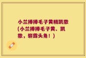 小兰捧捧毛子黄精凯撒(小兰捧捧毛子黄、凯撒，崭露头角！)