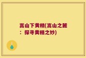嵩山下黄精(嵩山之麓：探寻黄精之妙)