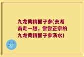 九龙黄精栀子参(去湖南走一趟，尝尝正宗的九龙黄精栀子参汤水)