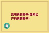 昆明黄精种子(昆明出产的黄精种子)